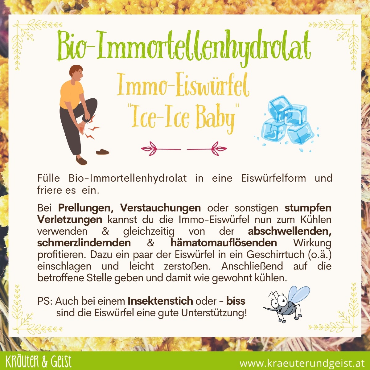 Ice Ice Baby - Immortellen-Eiswürfel