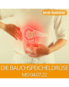 2022.07.04 | DIE BAUCHSPEICHELDRÜSE Web-Seminar mit Gudrun Laimer