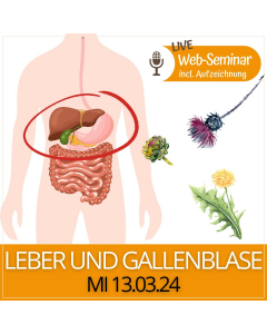 2024.03.13 | LEBER UND GALLENBLASE-  Web-Seminar mit Gudrun Laimer