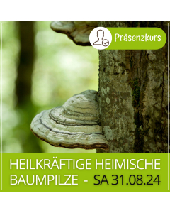 2024.08.31 | HEILKRÄFTIGE HEIMISCHE BAUMPILZE- Präsenzkurs mit Gudrun Laimer