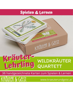 Quartett Kräuter-Lehrling