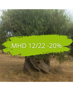 Olivenöl MHD 12/22