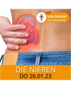 2023.01.26 | DIE NIEREN - Web-Seminar incl. Aufzeichnung zum Nachsehen mit Gudrun Laimer