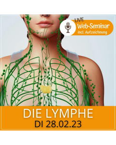 2023.02.28 | DIE LYMPHE - Web-Seminar incl. Aufzeichnung zum Nachsehen mit Gudrun Laimer