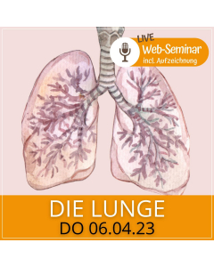 2023.04.06 | DIE LUNGE - Web-Seminar incl. Aufzeichnung mit Gudrun Laimer