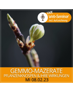 2023.02.08 | GEMMO-MAZERATE - Web-Seminar incl. Aufzeichnung mit Doris Karadar