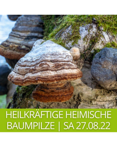 2022.08.27 | HEILKRÄFTIGE HEIMISCHE BAUMPILZE mit Gudrun Laimer