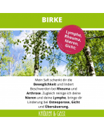 Pflanzensaft Birke mit Beschreibung