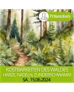2024.06.15. | KOSTBARKEITEN DES WALDES -  Harze, Nadeln, Zunderschwamm
