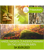 2023.09.30. | Harze, Nadeln, Zunderschwamm - ein Tag unter Bäumen - Präsenzkurs mit Gabi Winkler